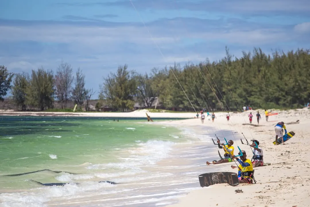 Tropical beach with palm trees